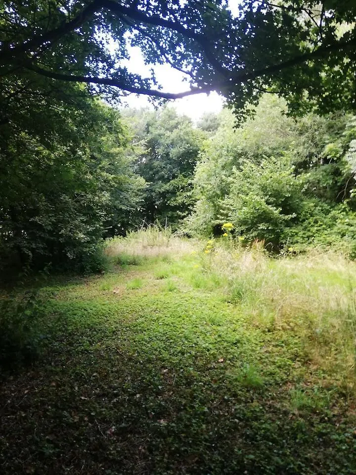 The 'Shed' Log Cabin, Bishop Sutton Bristol 0*,  United Kingdom